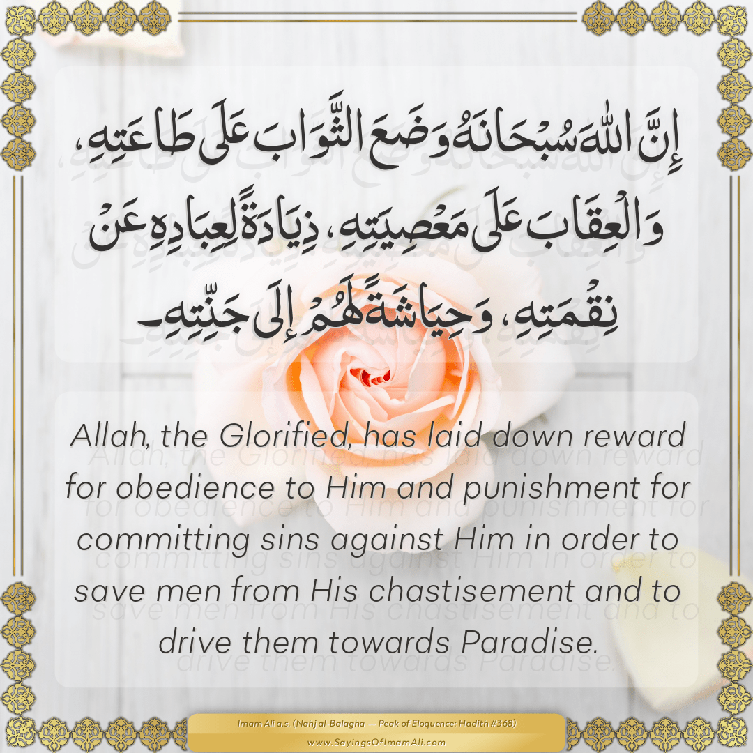 Allah, the Glorified, has laid down reward for obedience to Him and...